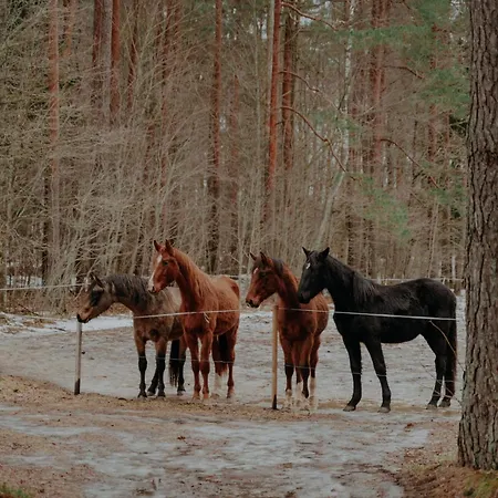 Ostmala * Ventspils